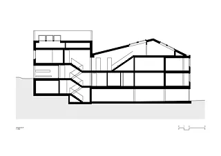 Coupe longitudinale