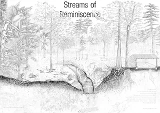 Site Analysis – Public Drawing «Streams of Reminiscence»