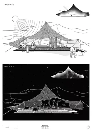 Analysis of a Bedouin Tent
