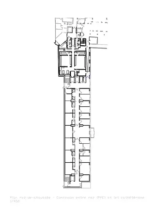 Rez-de-chaussée
