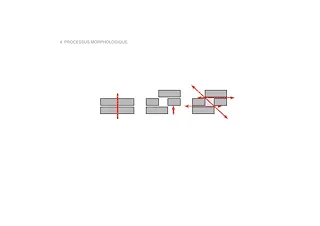 Processus morphologique