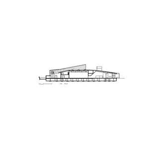 Coupe longitudinale