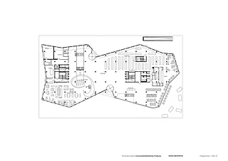 rez-de-chaussée