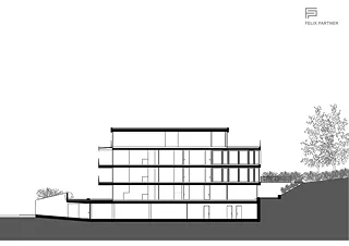 Coupe longitudinale