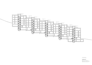 BR2 section longitudinale