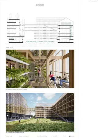 Section and Visualisation 