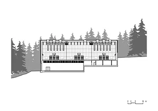 Coupe longitudinale