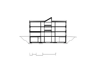 Querschnitt