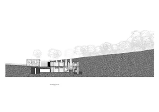 section_d-d