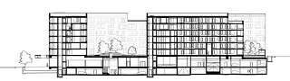 Coupe longitudinale Westhof