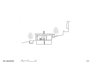Querschnitt