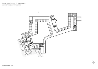 Rez inférieur