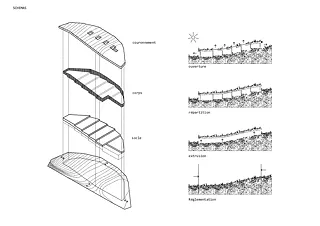 Schema