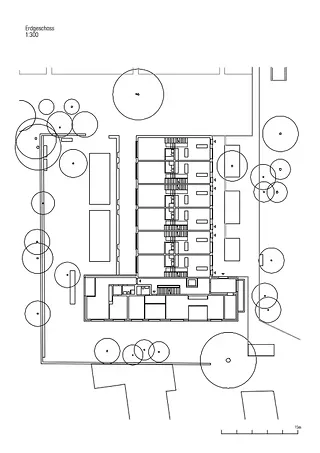 Rez de chaussée
