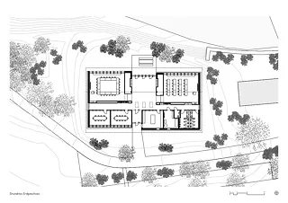 Rez-de-chaussée