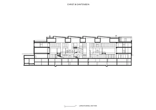 Coupe longitudinale