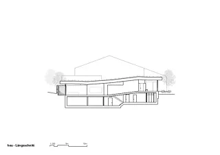 Coupe longitudinale