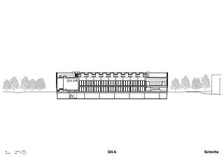 Coupe longitudinale