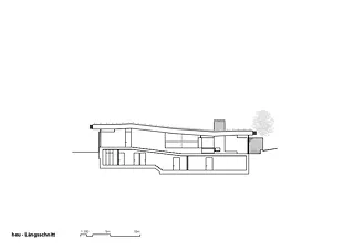 Coupe longitudinale