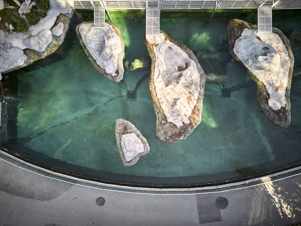Gestaltung Seehundebecken mit Kunstfelsen