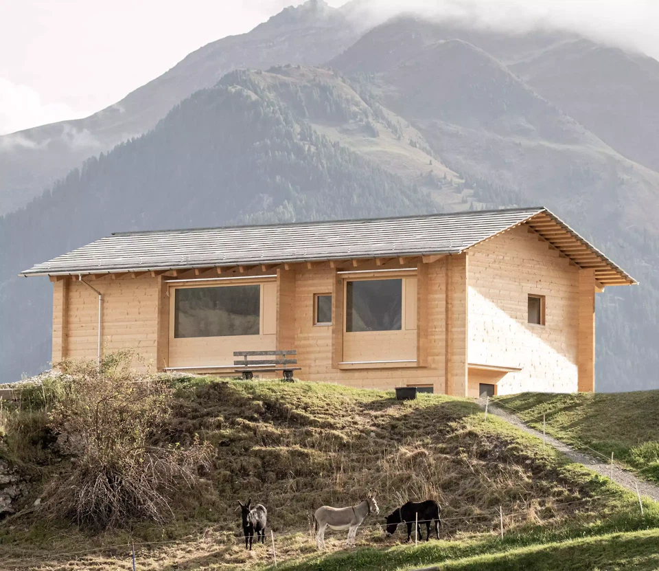 Einbettung  Landschaft