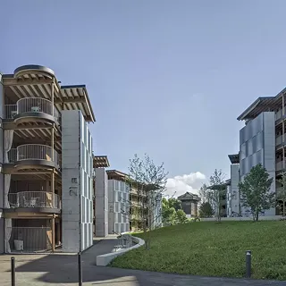 Waldacker