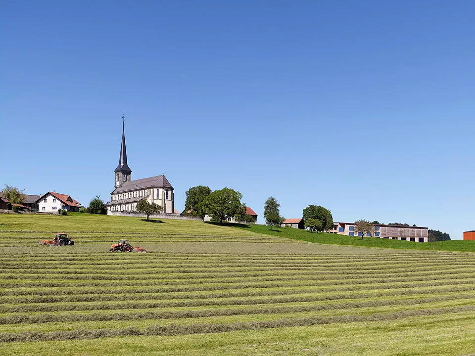 Umgebung
