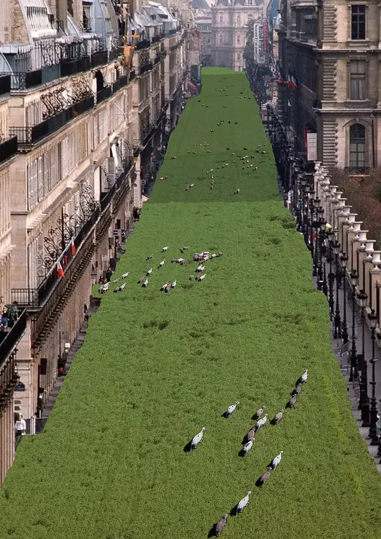 Rue de Rivoli
