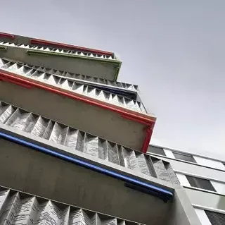 Kletterpflanze