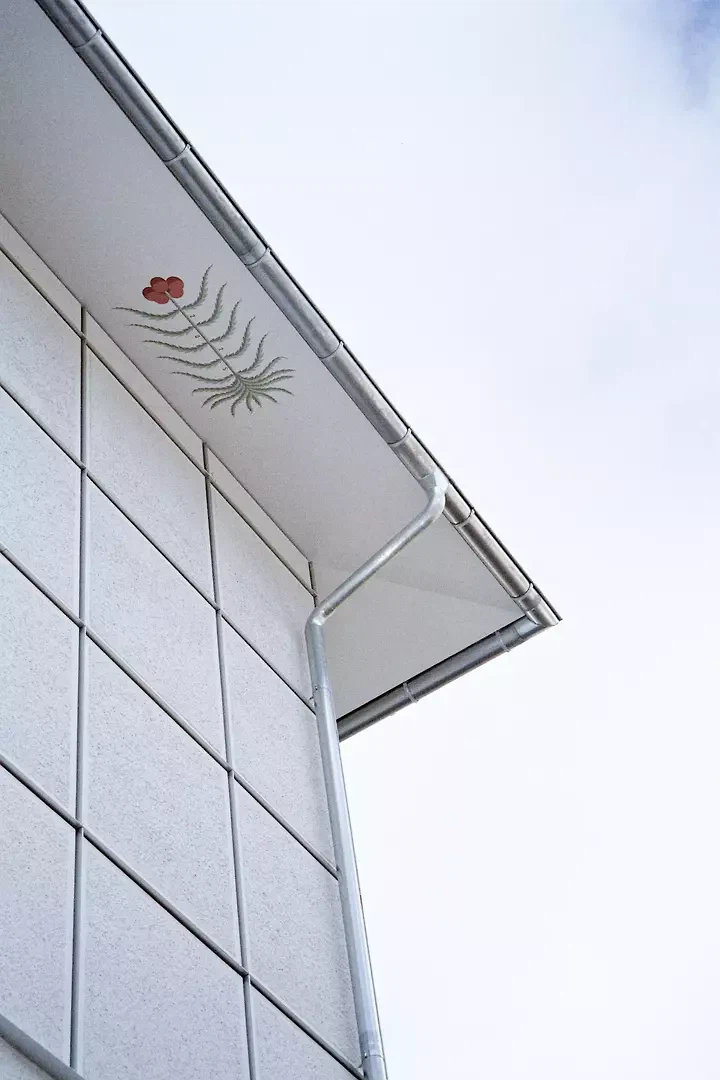 «Trügerisches Torfmoos» auf der Dachunterseite