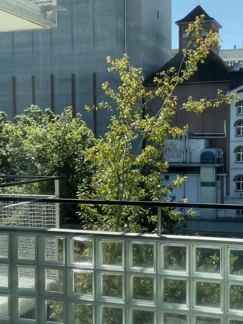 Mehrfamilienhaus an der Limmat II – Balkon