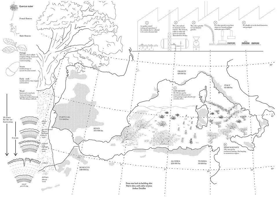 Ep01_Supply Chain - Cork