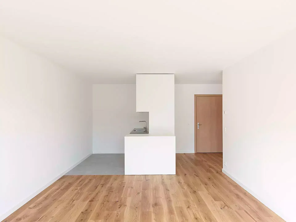 Vue vers la cuisine et l'entrée