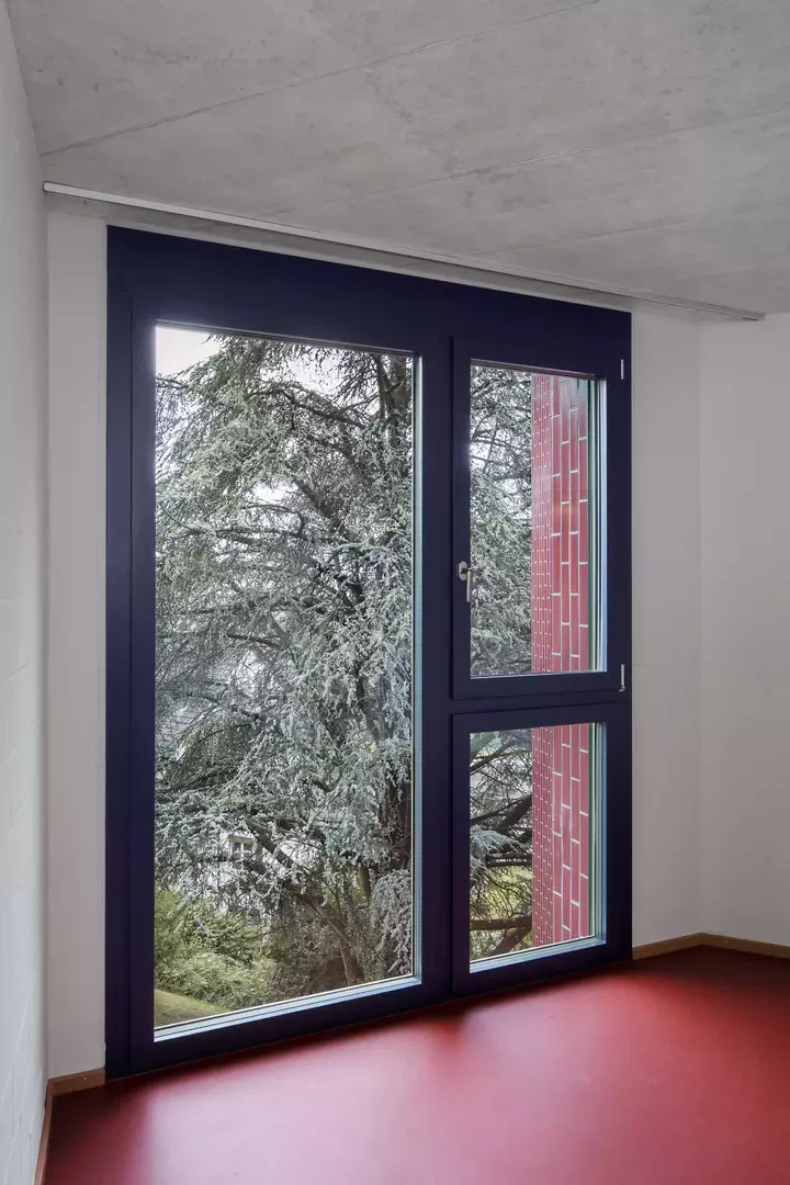 Chambre avec vue sur le cèdre de l'Atlas