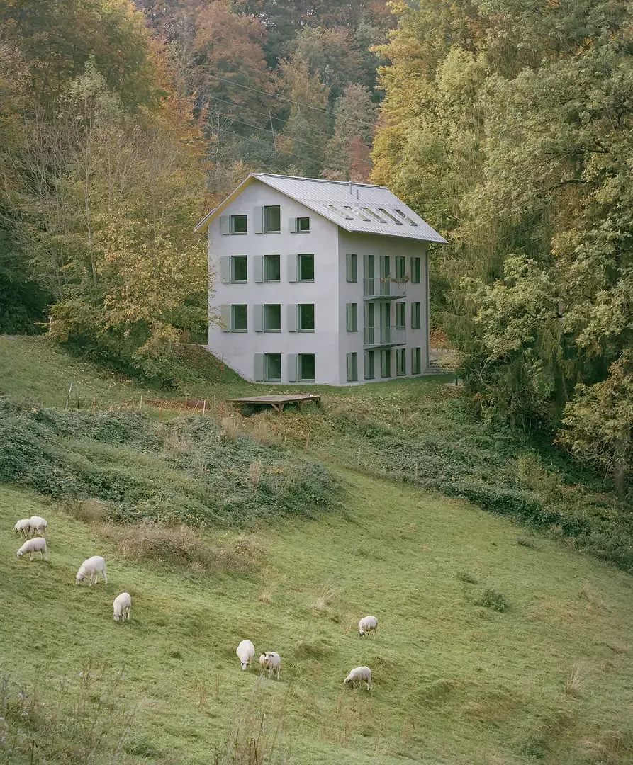 Vue lointaine de la maison à la lisière de la forêt