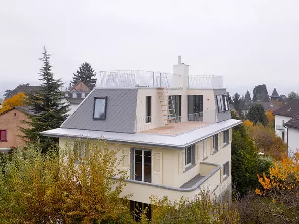 Ansicht Dach neu