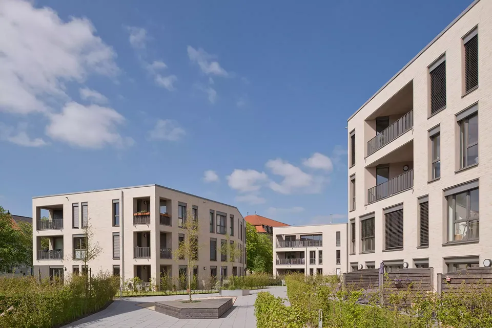 Weg zwischen den Schollen