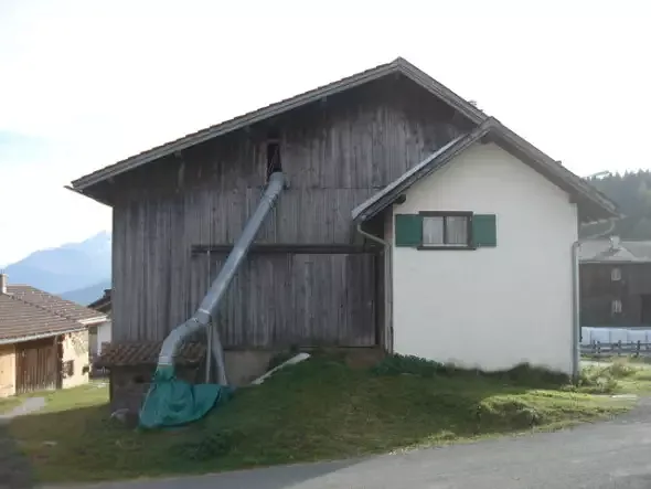 Alter Bestand Nordseitig