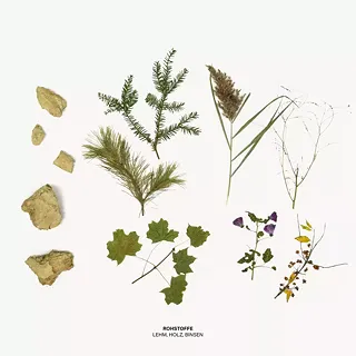Fin de l'anthropocène - Durabilité de la Terre