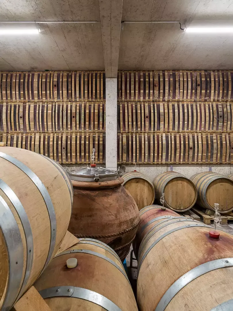 Revêtement mural en bois des tonneaux de vin