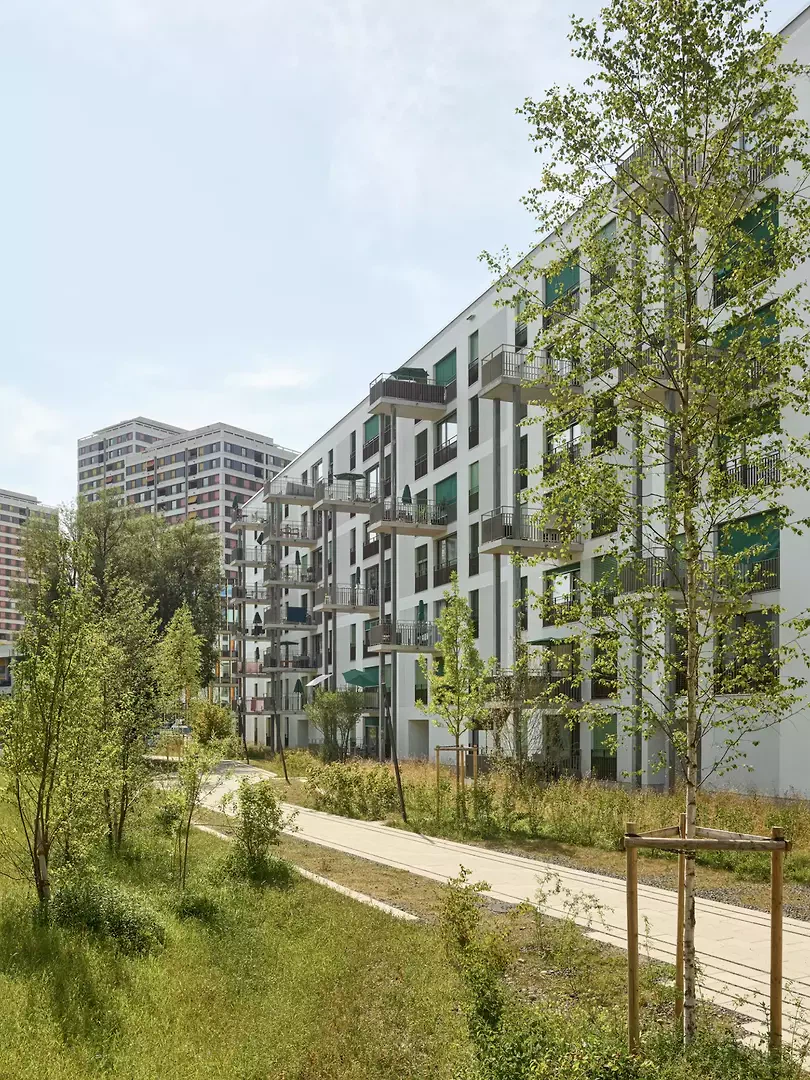 L'espace ouvert situé au sud du lotissement fait partie du «jardin intérieur»