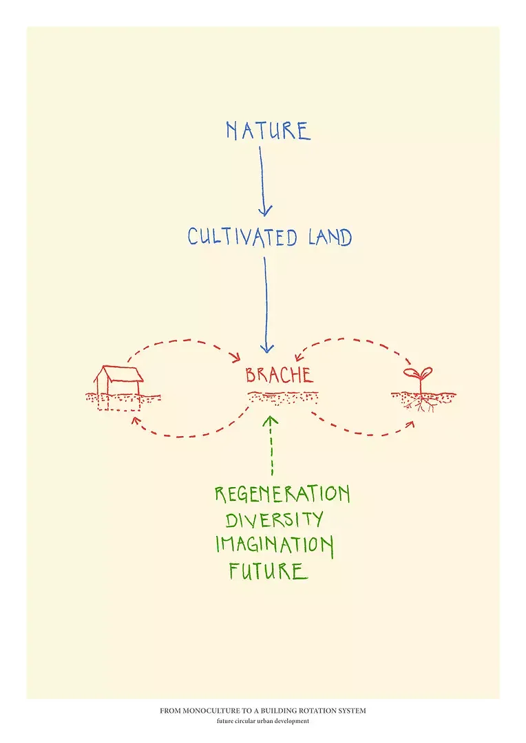 circular urban development