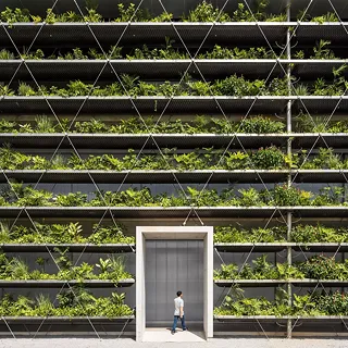 Usine tropicale