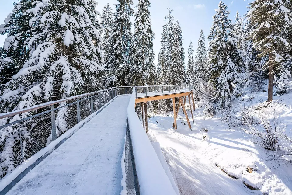 Steg Winter