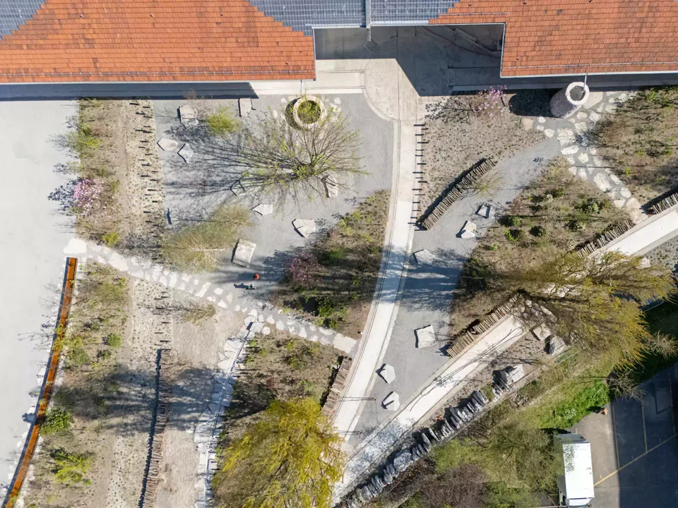 Unterschiedliche Substrate erlauben das gedeihen  von Kräutern, Hochstauden und Pionierwäldern.