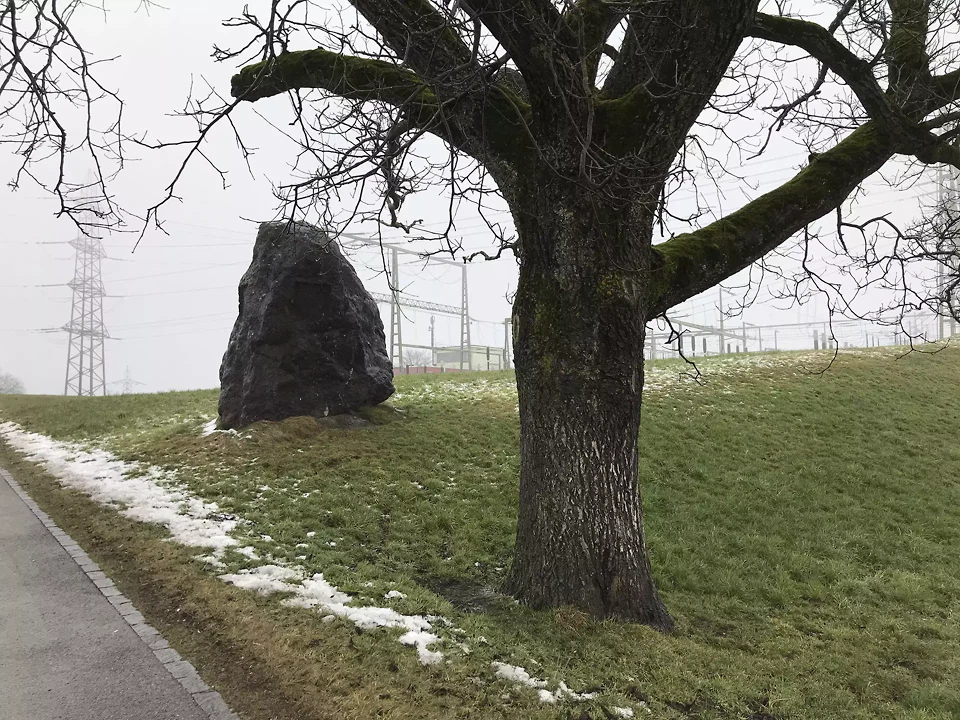 Findling in Samstagern