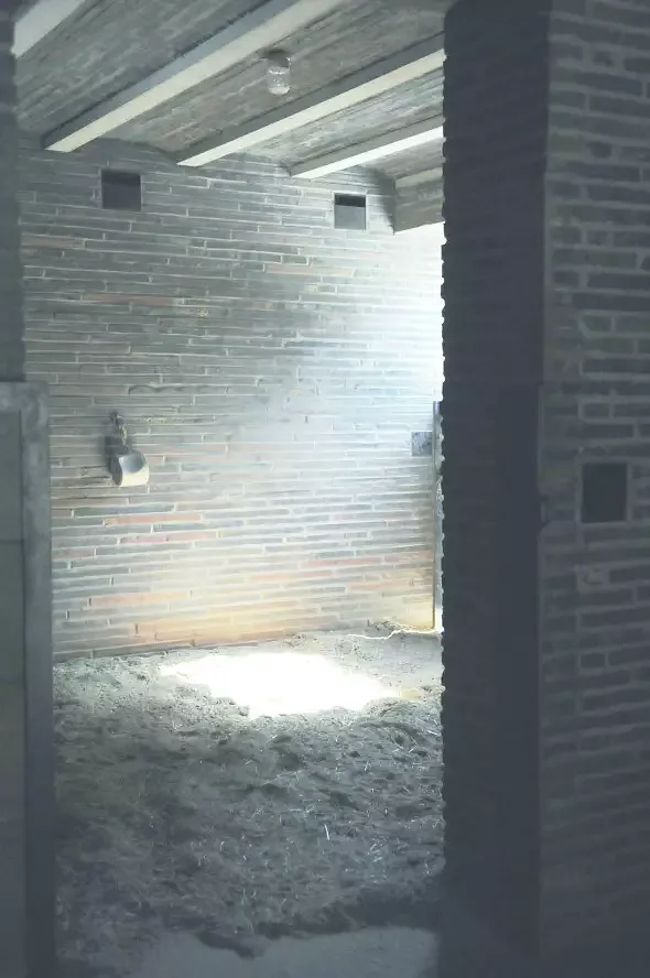 10.