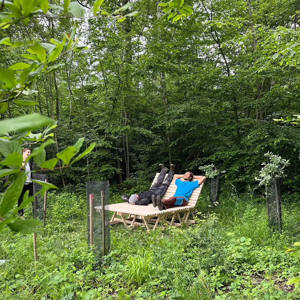 Projekt: Growing Chairs – Standort: Agriculture – Am Rande des Waldes bietet das Projekt «Growing Chair» eine Vielfalt von Sitzmöglichkeiten und ‘Behaviors’ mit der Umgebung.