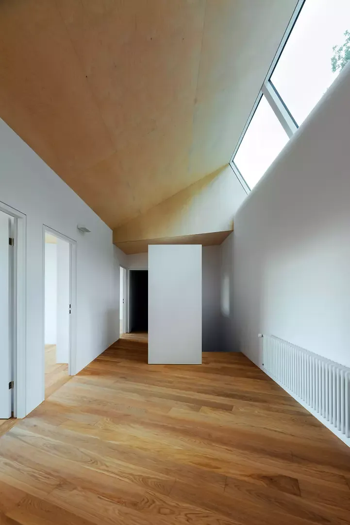 Das Dachfenster lässt wie eine Lichtkanone sanftes Nordlicht ein  und leitet den Blick auf den Wald.