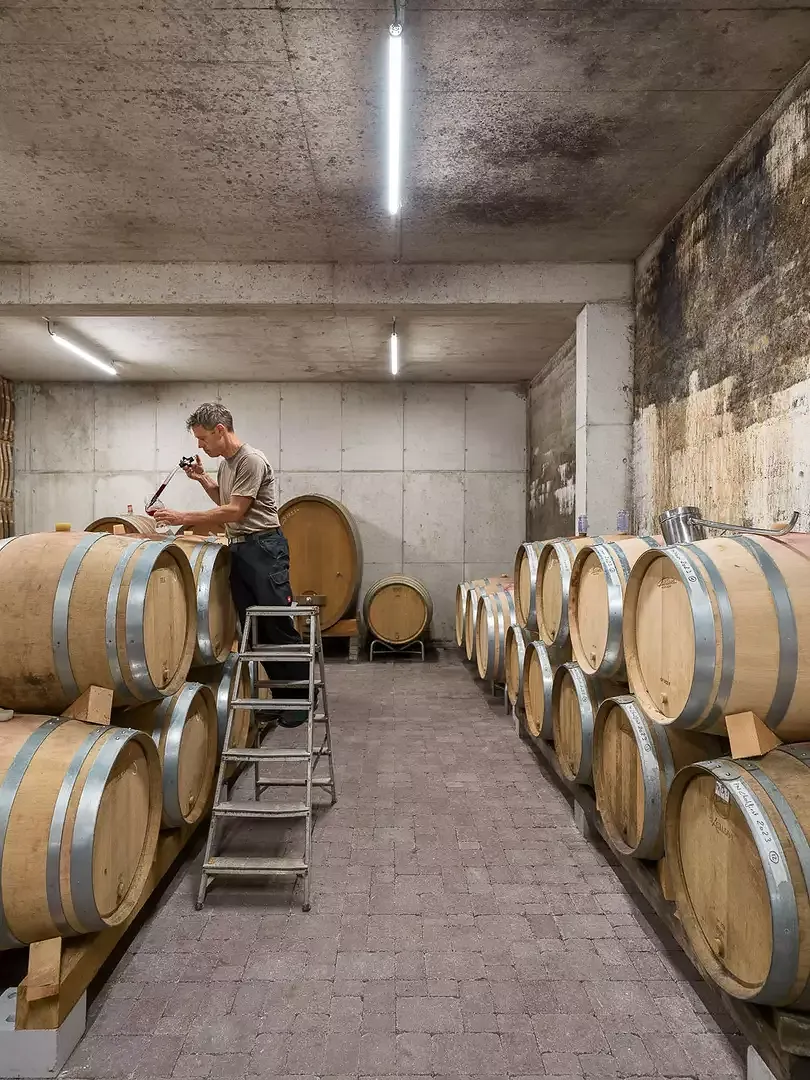 Vigneron dans la cave à barriques